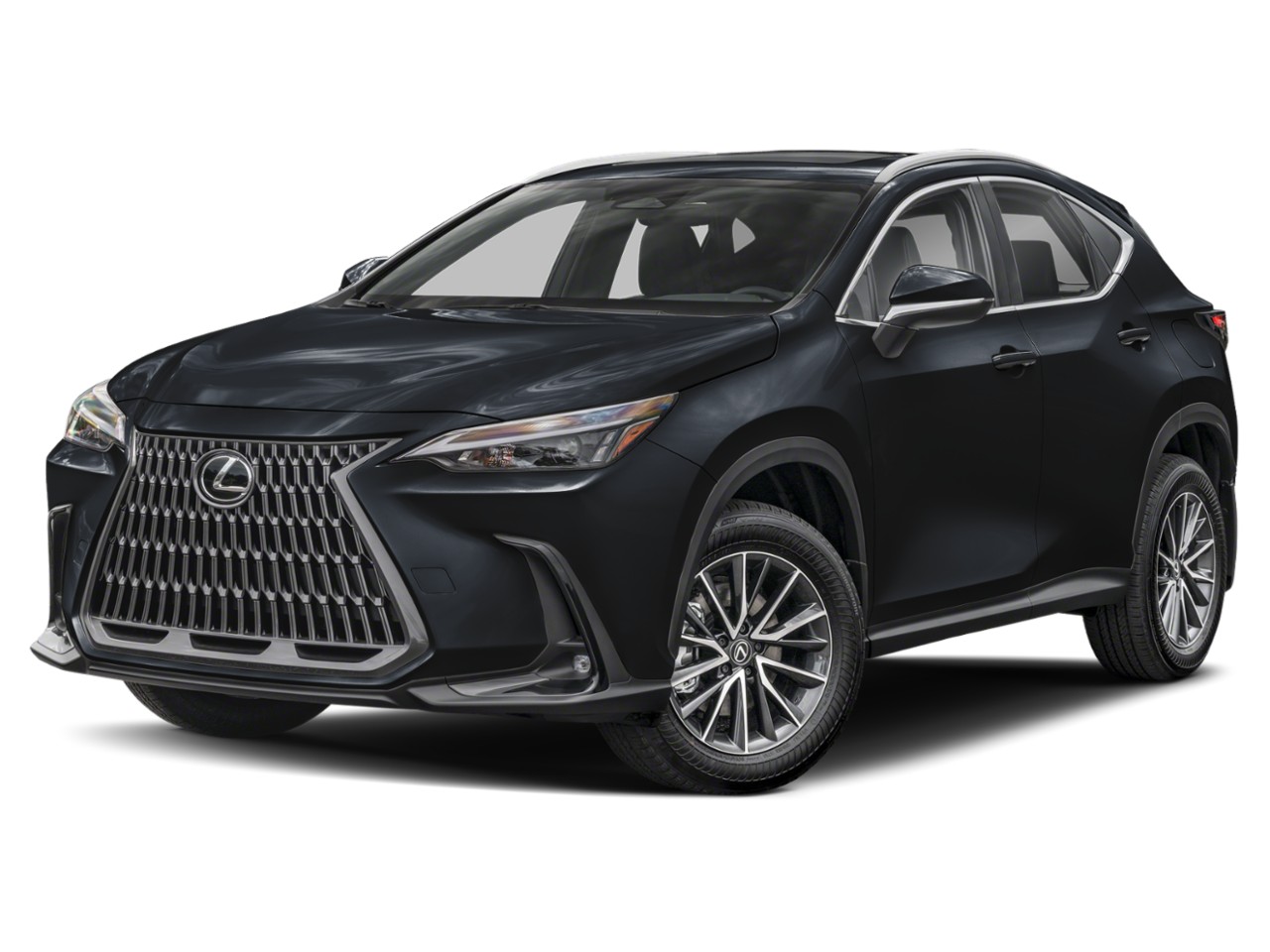 2024 Lexus NX
