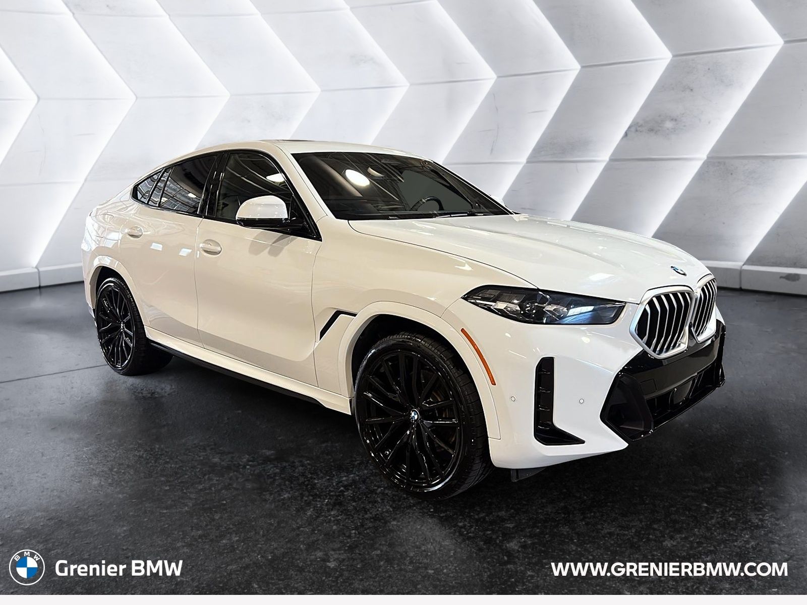 2024 BMW X6