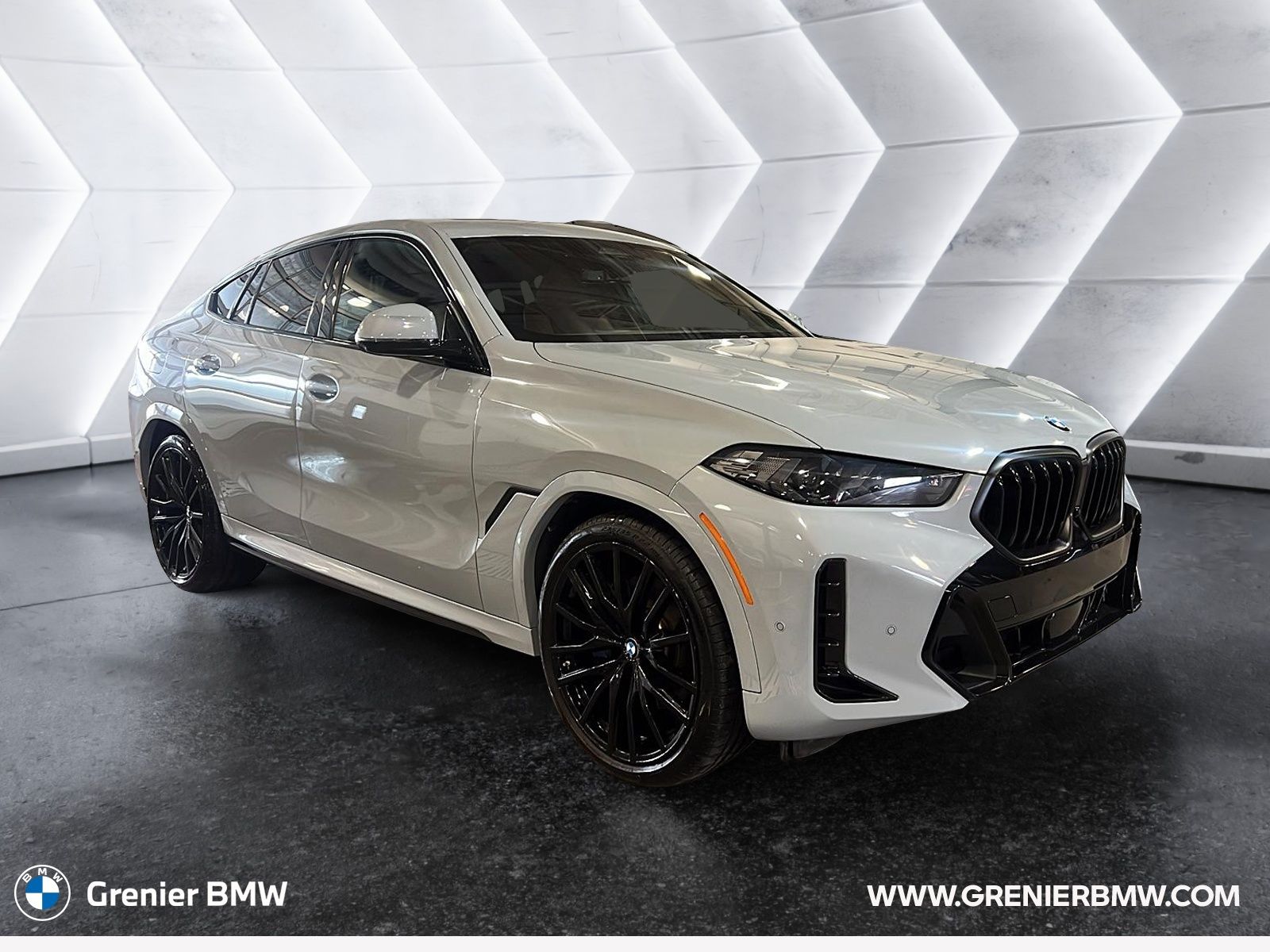 2025 BMW X6