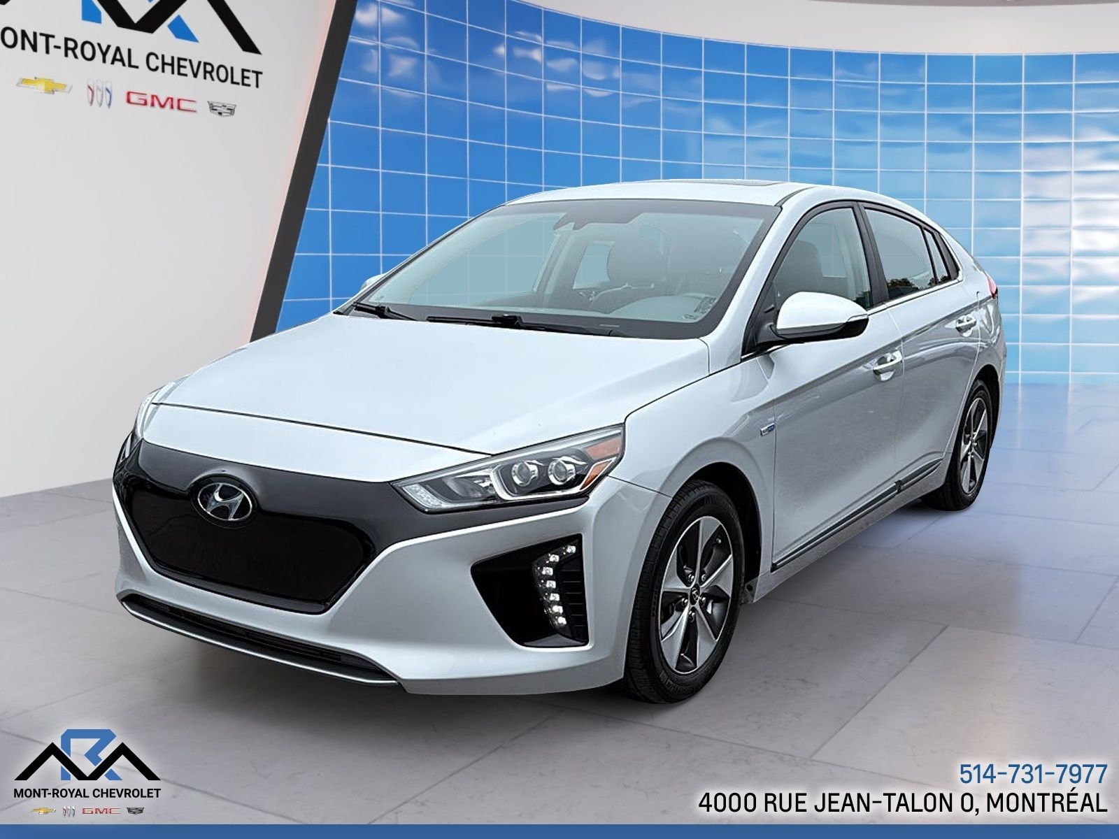 2019 Hyundai Ioniq Electric