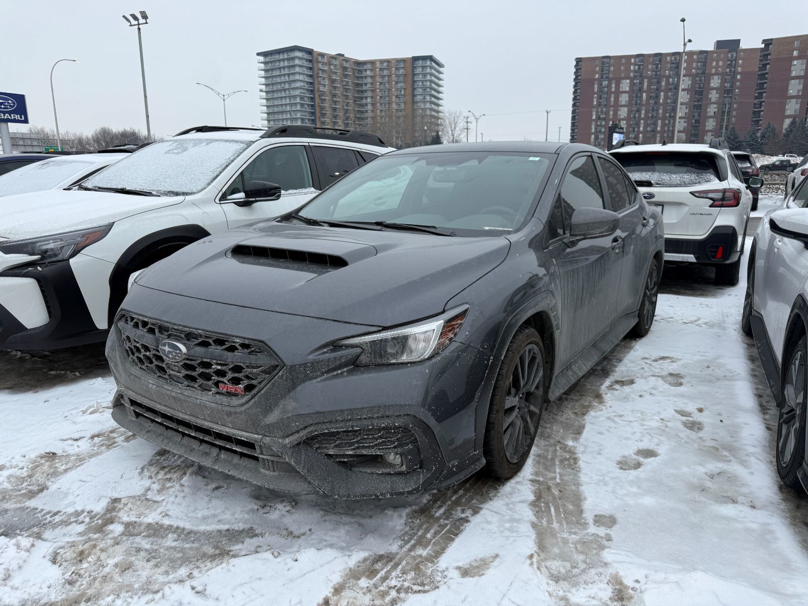 2025 Subaru WRX