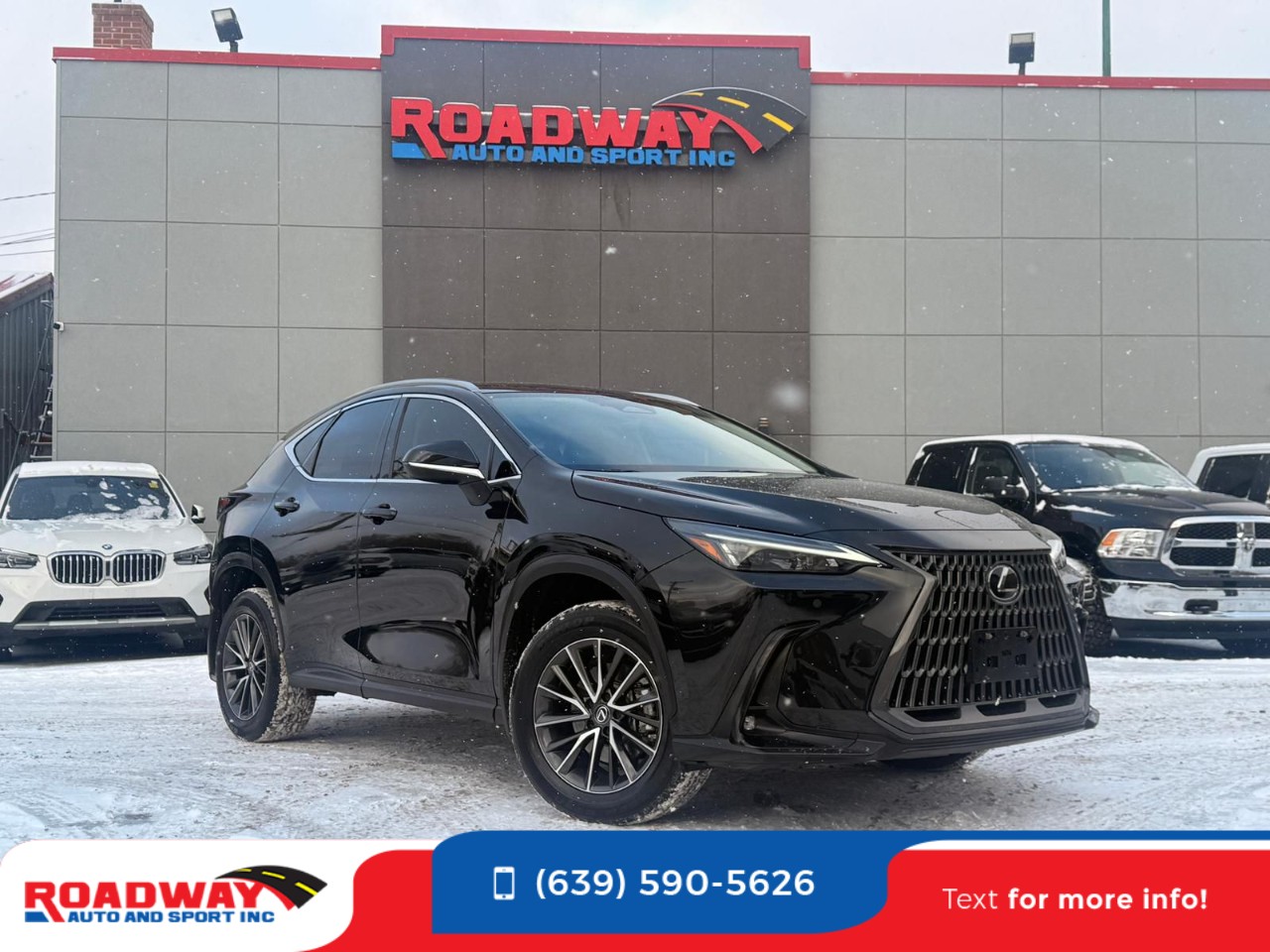 2023 Lexus NX