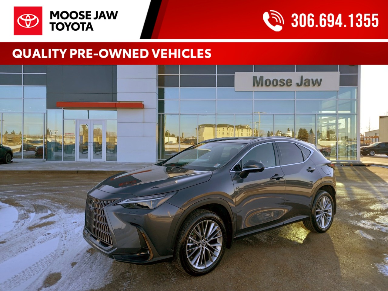 2024 Lexus NX