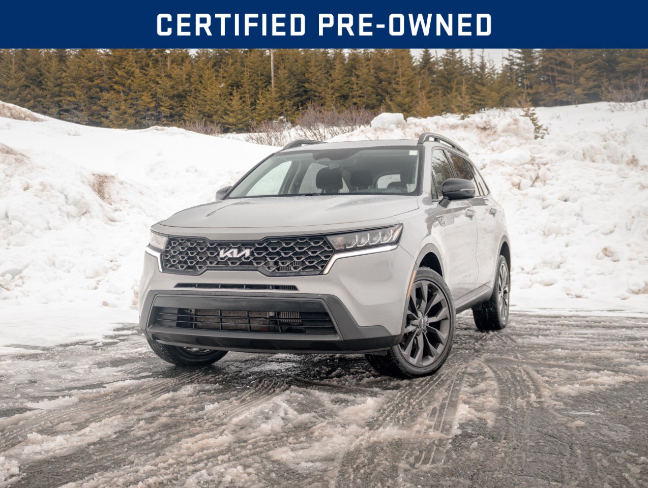 2023 Kia Sorento
