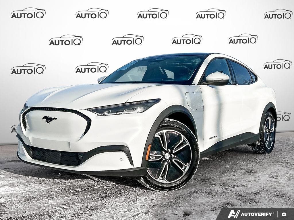 2021 Ford Mustang Mach-E