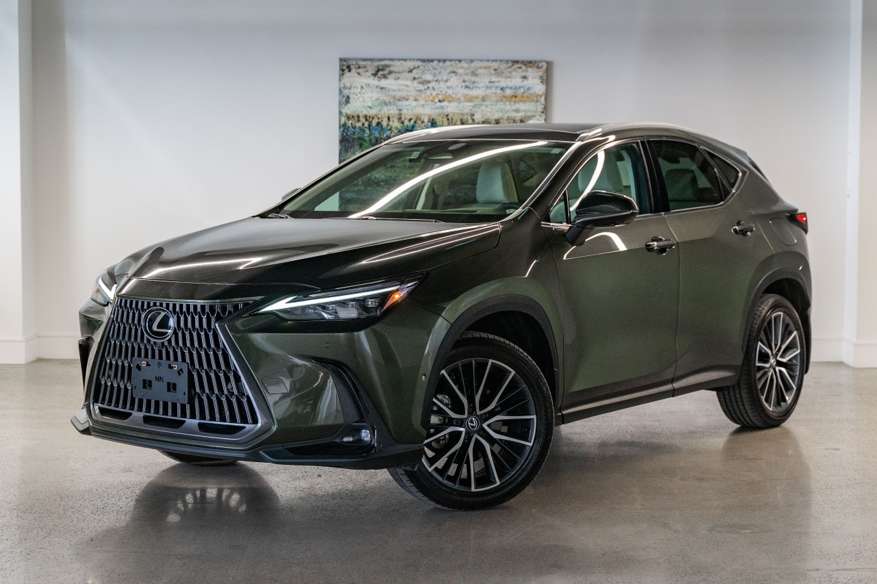 2025 Lexus NX