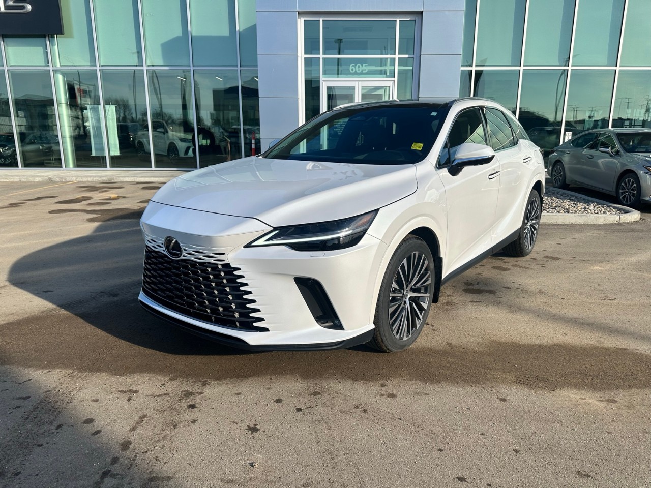 2024 Lexus RX