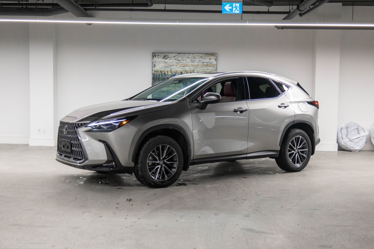 2024 Lexus NX