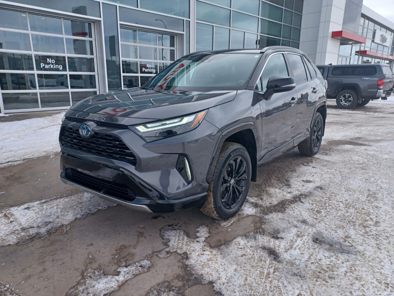 2024 Toyota RAV4