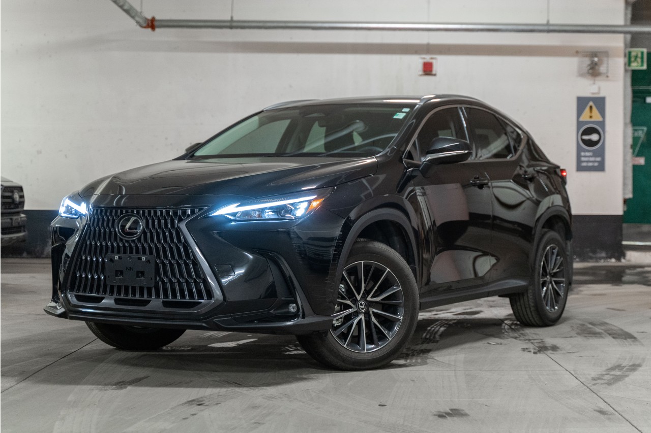 2024 Lexus NX