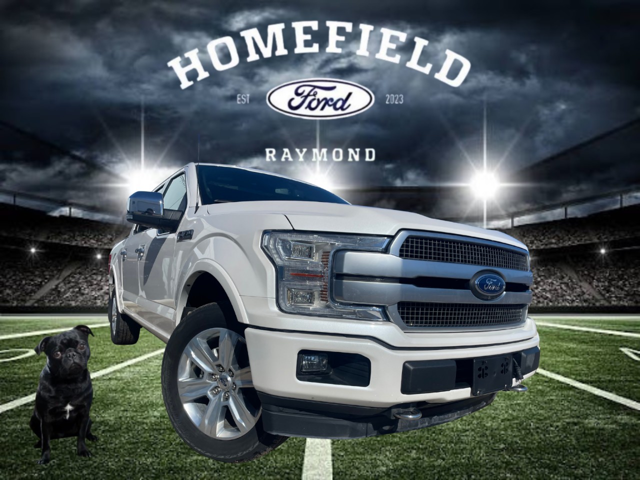 2019 Ford F-150
