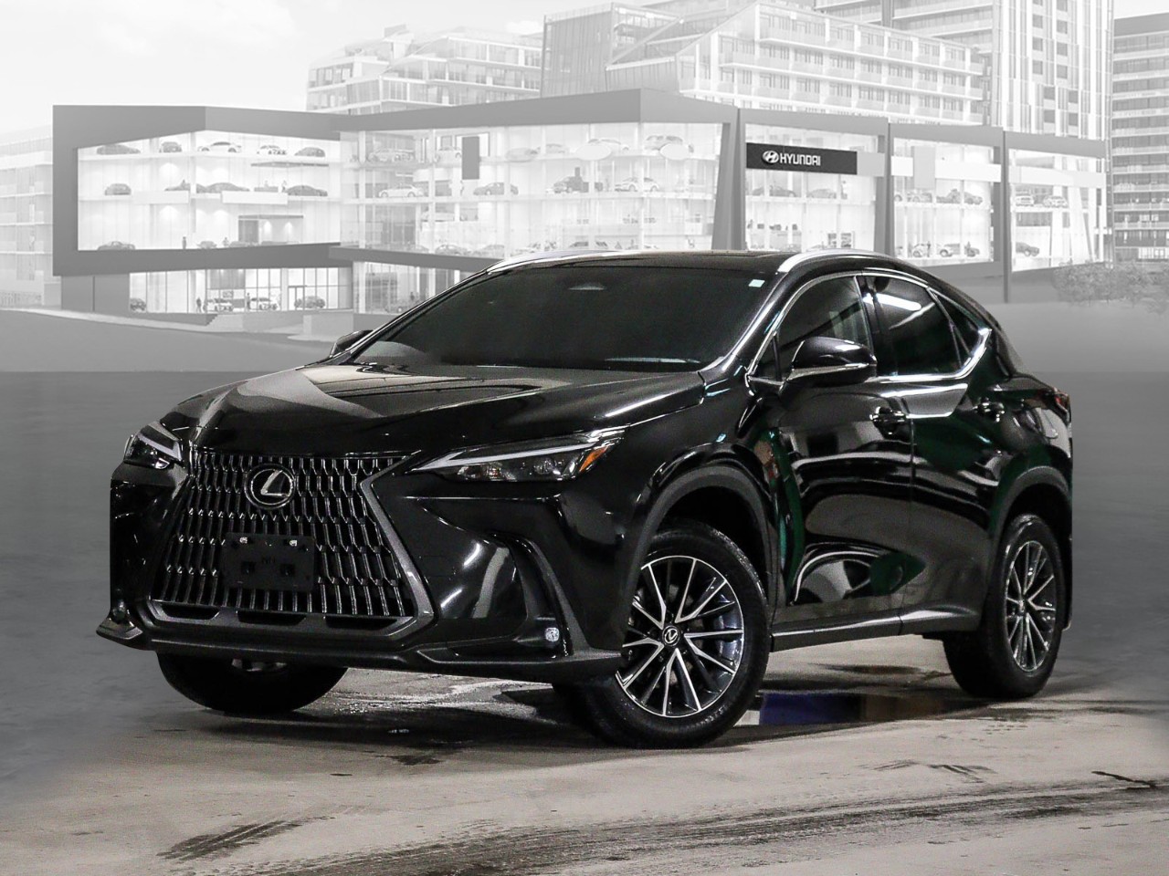 2024 Lexus NX