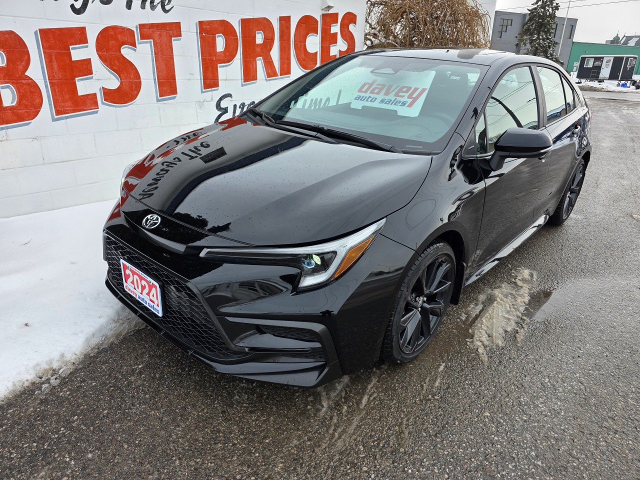 2024 Toyota Corolla