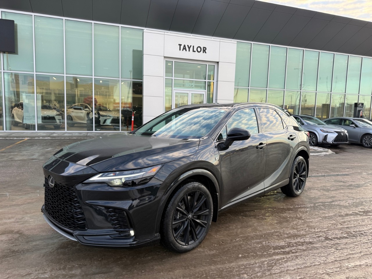 2024 Lexus RX