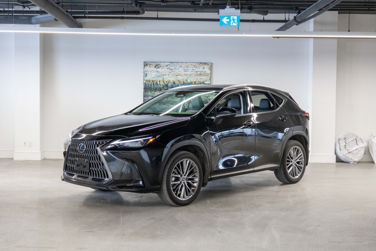 2024 Lexus NX