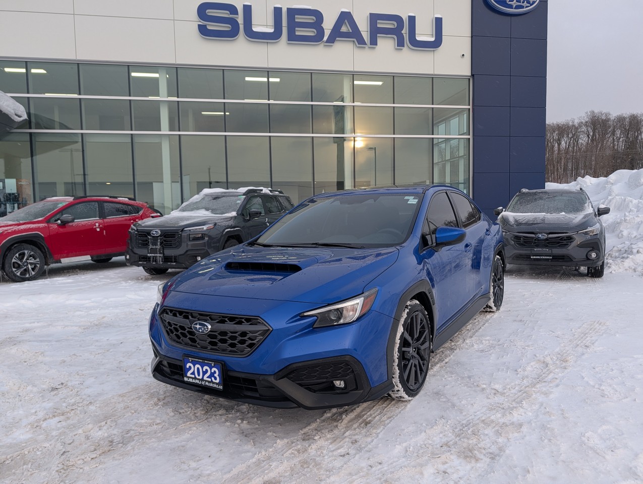 2023 Subaru WRX