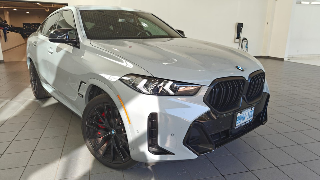 2024 BMW X6