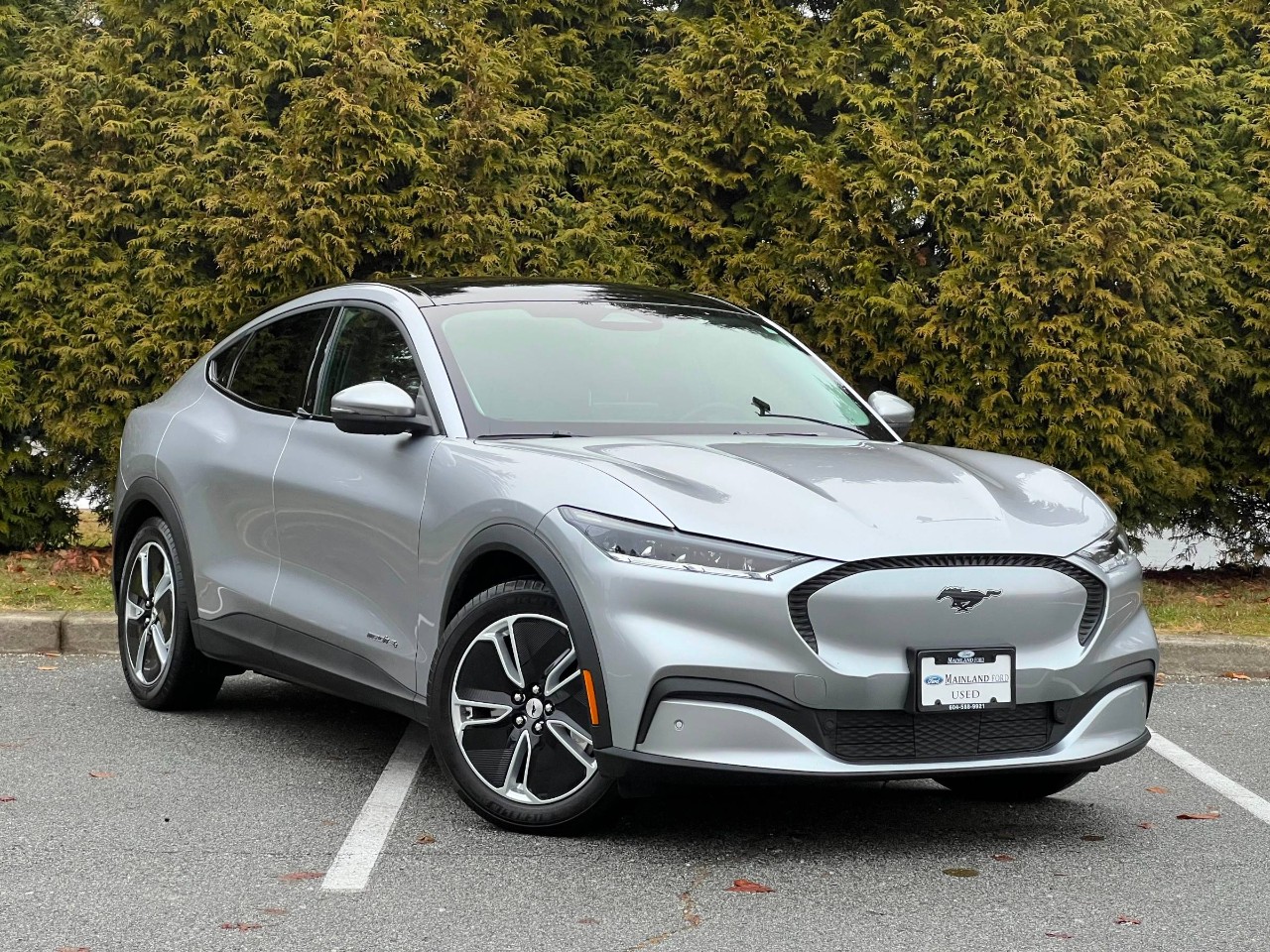 2021 Ford Mustang Mach-E