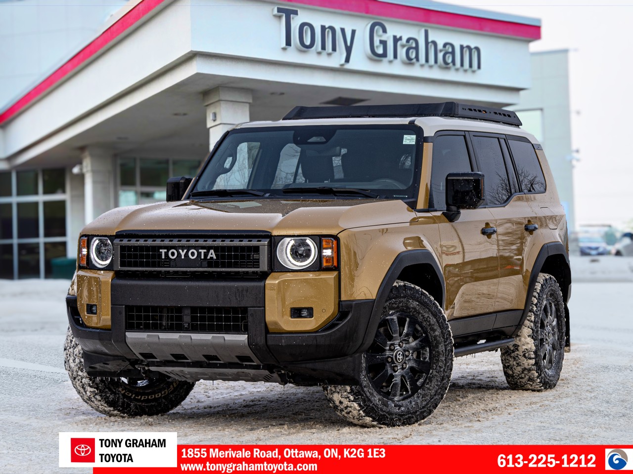 2024 Toyota Land Cruiser