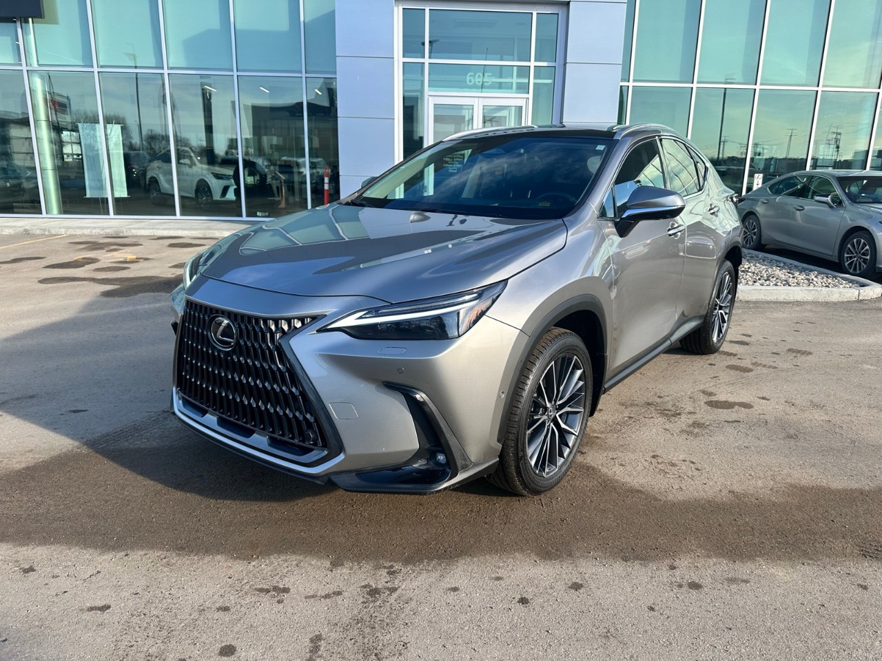 2025 Lexus NX