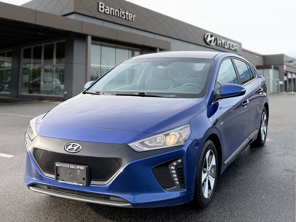 2019 Hyundai Ioniq Electric