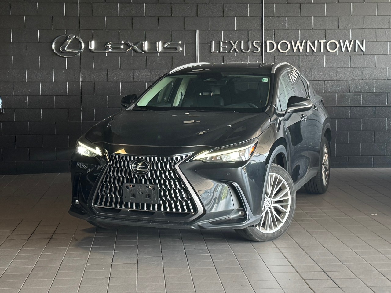 2024 Lexus NX