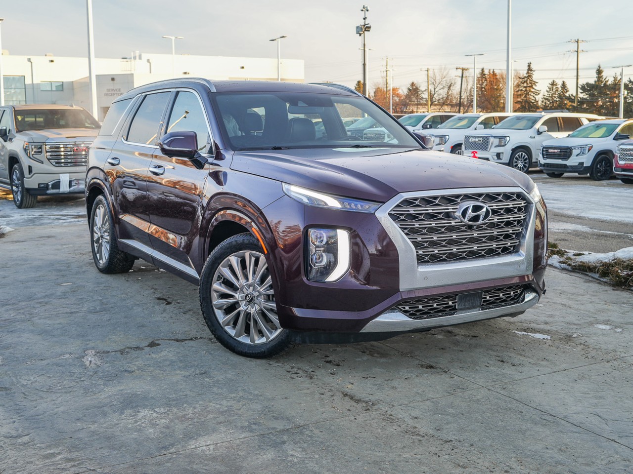 2020 Hyundai Palisade - 1