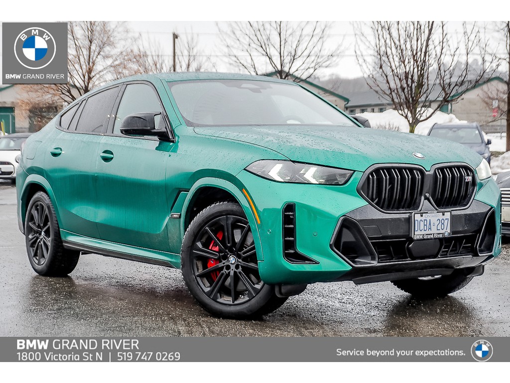 2025 BMW X6