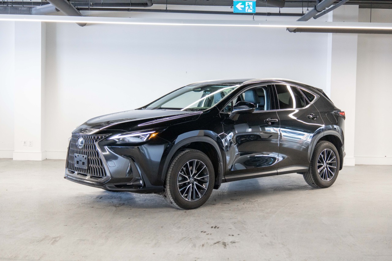 2024 Lexus NX