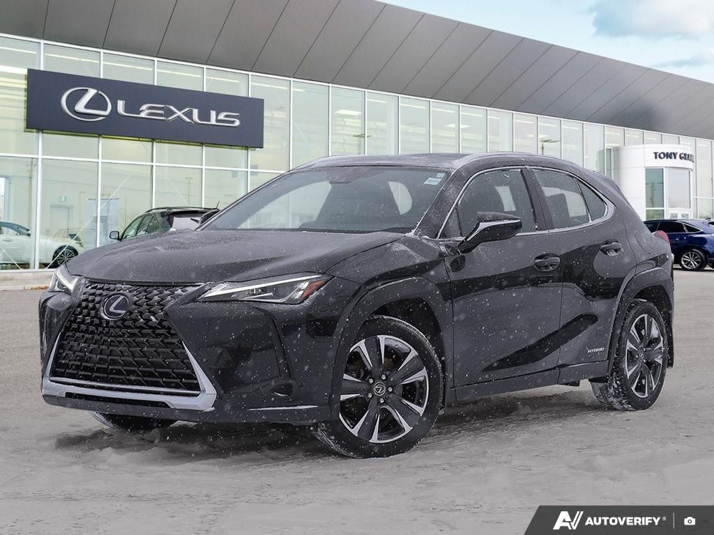 2021 Lexus UX