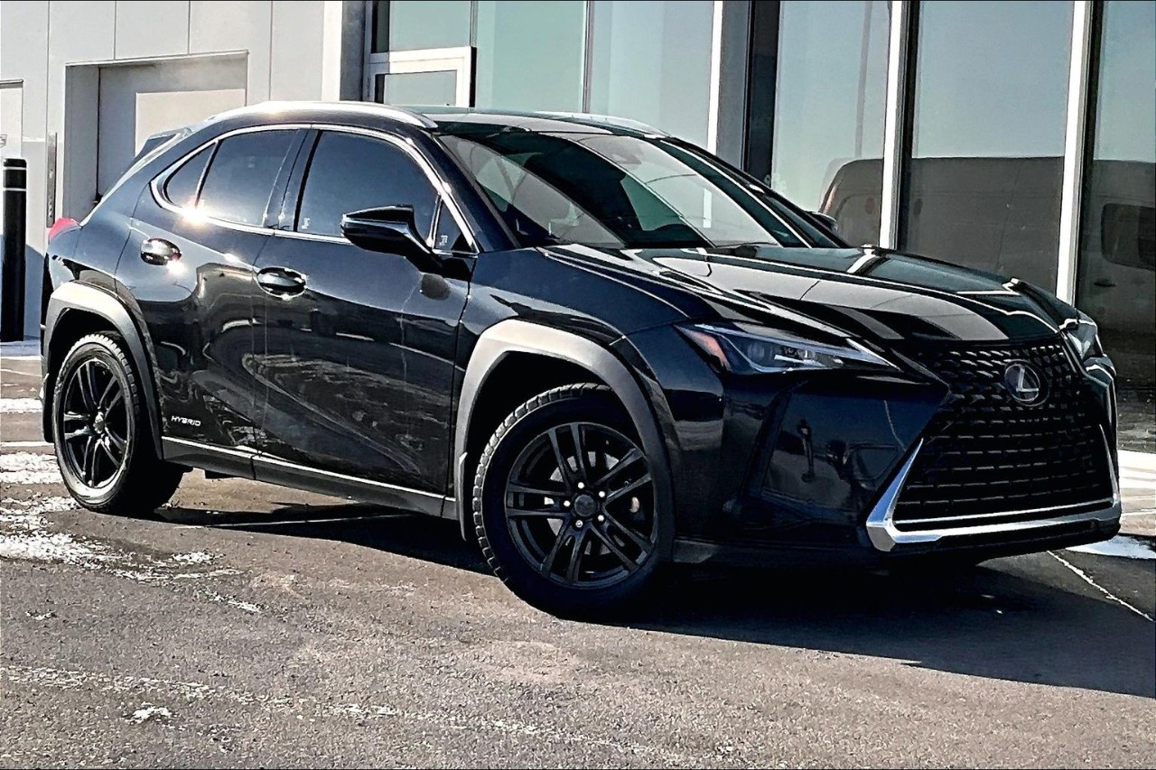 2021 Lexus UX