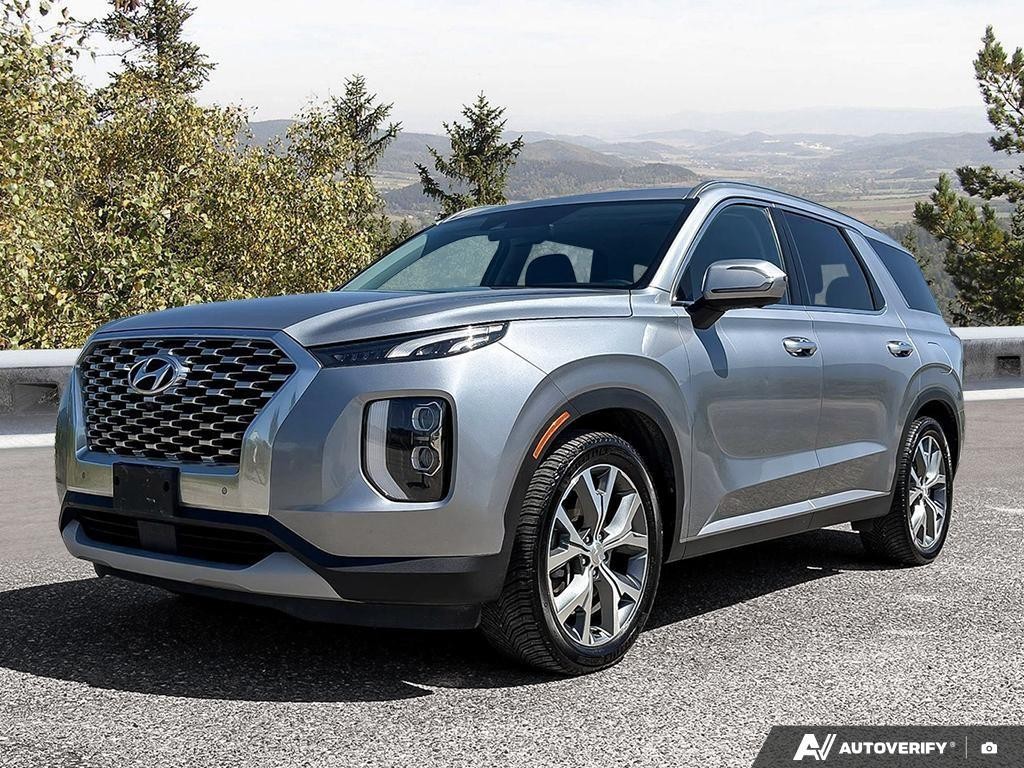2020 Hyundai Palisade - 1