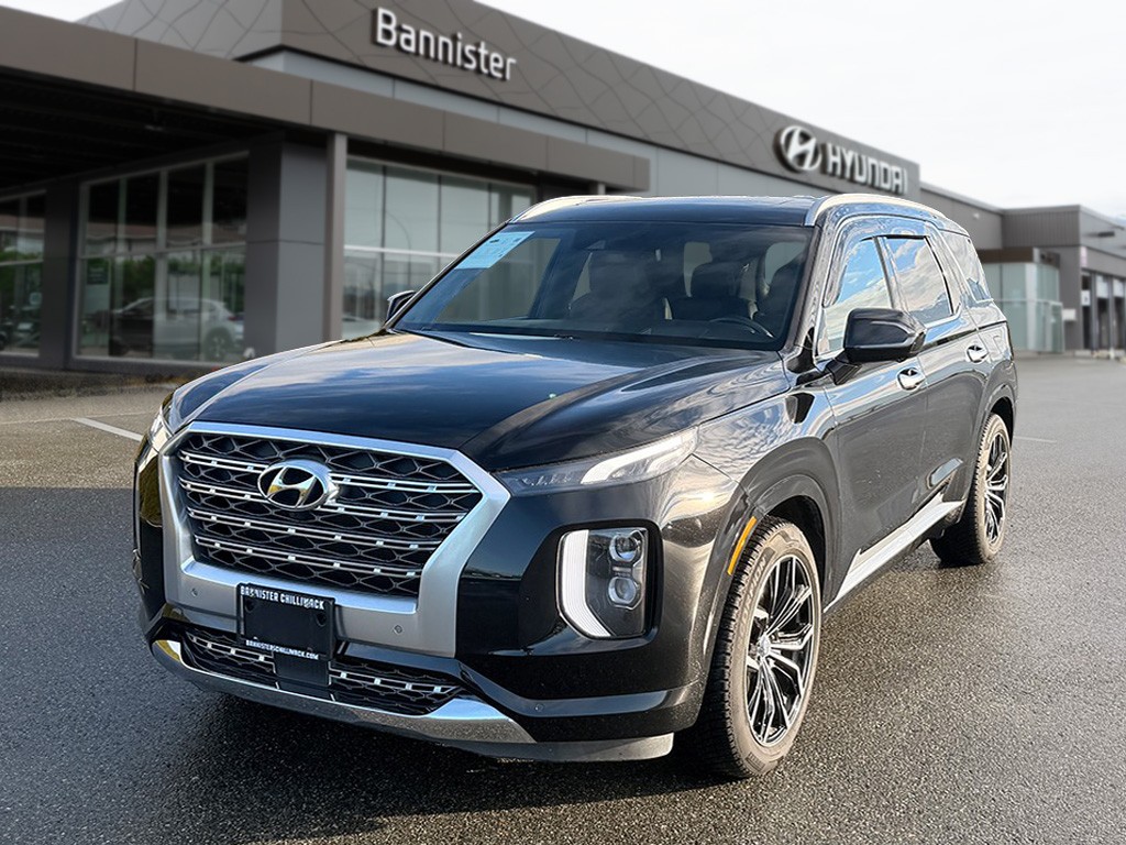 2020 Hyundai Palisade - 1